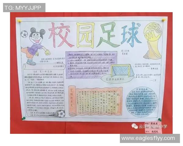 丹凤足球明星的崛起与成就探秘以及对中国足球的影响分析