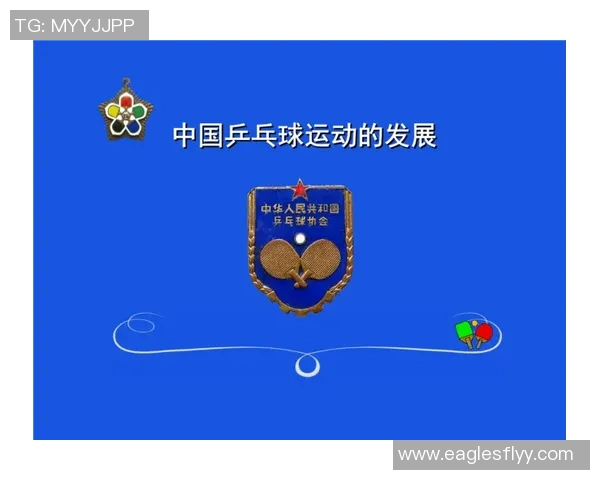 对话杨强：回顾乒乓球生涯的辉煌与挑战与未来展望